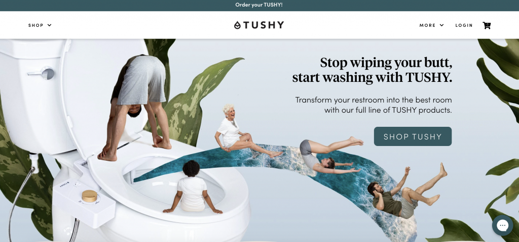 Hello Tushy Bidets get creative in their Above the Fold content