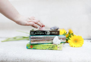 Image of books, flowers, journals and crystals that show off Lauren's passions and mindfulness 