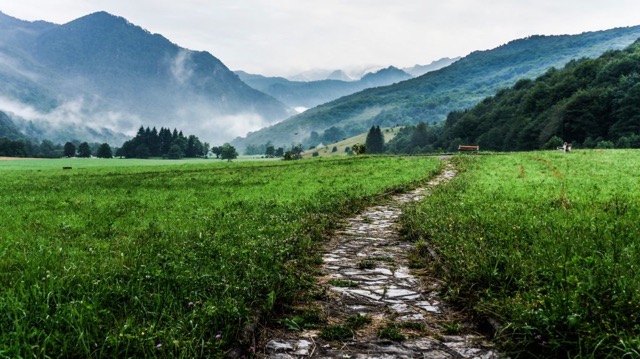 Image portrays a pathway through the grass to illustrate the pathway of awareness 