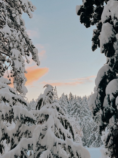 Anchoring into your human design provides a new lens for you to look through when it comes to setting new years intentions or goals 